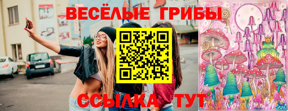 Кизляр  Галлюциногенные грибы ЛСД  Вход с VPN 